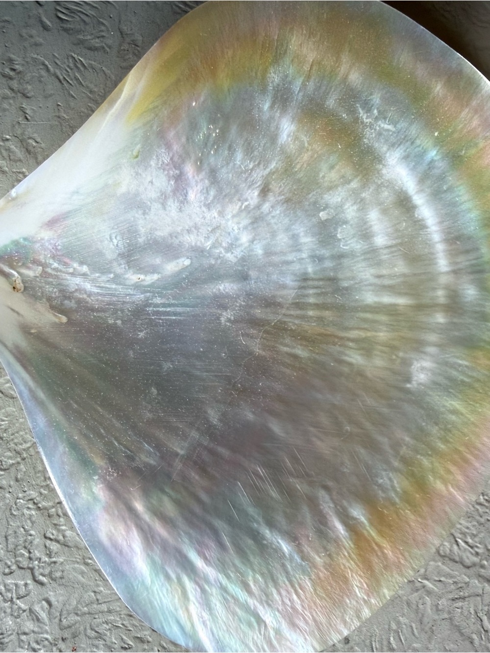 Pearlescent Shell Party Platter - Pearl White Iridescent